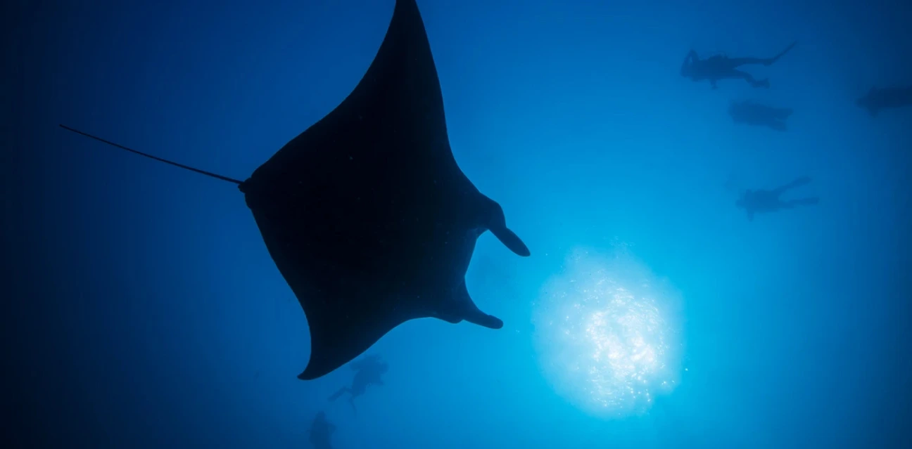 Explore Maldives Dive